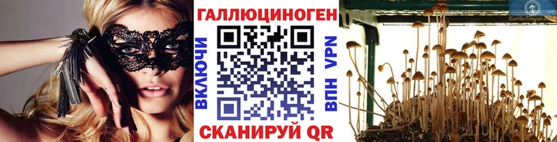Псилоцибиновые грибы Psilocybine cubensis  Купить где  Лахденпохья 