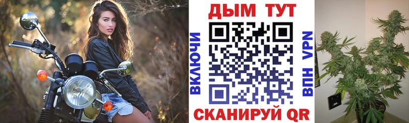 Конопля конопля  Купить  Лахденпохья 